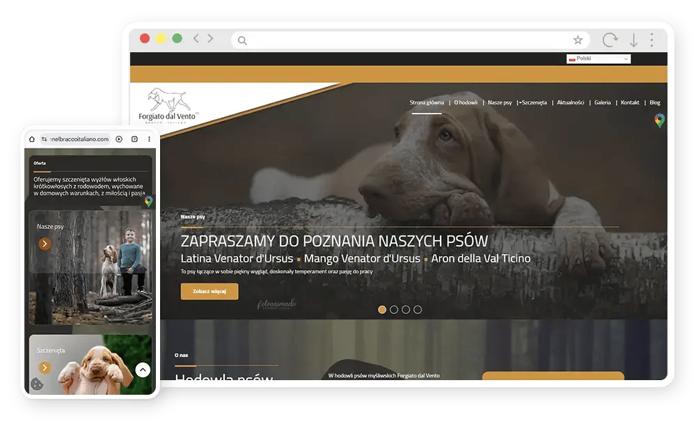 www-kennelbraccoitaliano